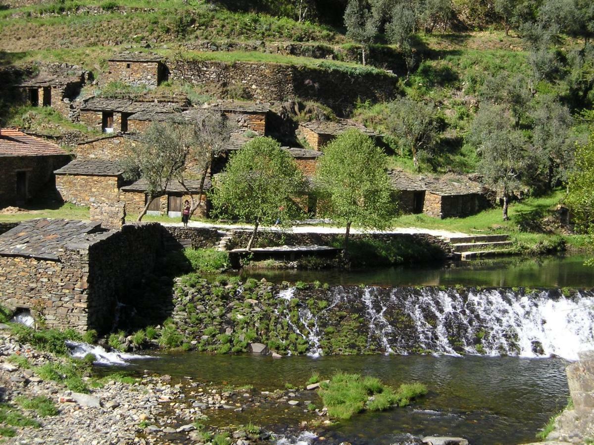 A Charming , Traditional Cottage At Quinta Da Ribeira Vila Nova de Poiares Dış mekan fotoğraf