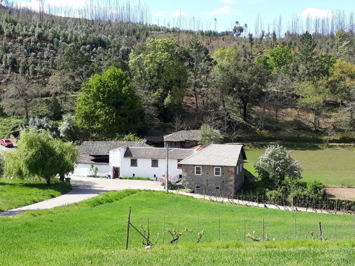 A Charming , Traditional Cottage At Quinta Da Ribeira Vila Nova de Poiares Dış mekan fotoğraf