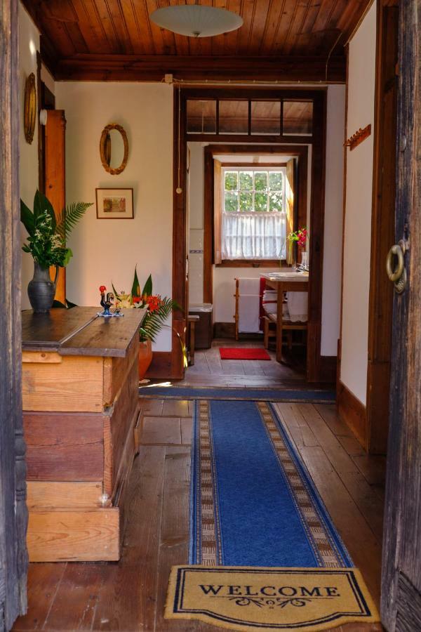 A Charming , Traditional Cottage At Quinta Da Ribeira Vila Nova de Poiares Dış mekan fotoğraf