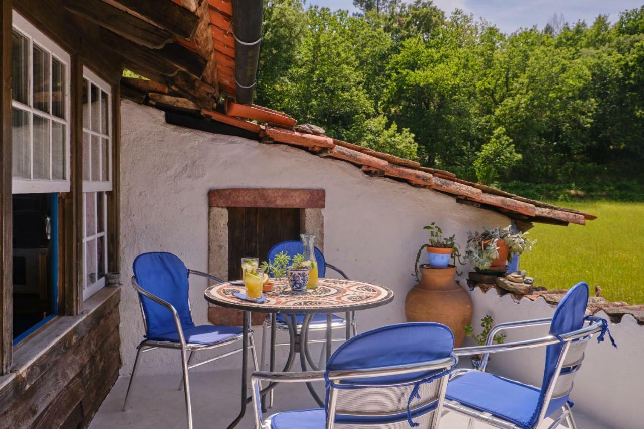 A Charming , Traditional Cottage At Quinta Da Ribeira Vila Nova de Poiares Dış mekan fotoğraf